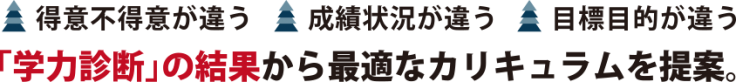 「学力診断」の結果から最適なカリキュラムを提案。 「学力診断」の結果から最適なカリキュラムを提案。